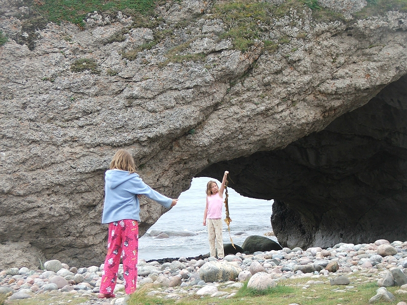 NFLD_drive_to_and-viking_settlement 754.jpg
